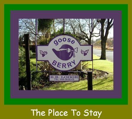 Gooseberry Hotel Bethlehem Luaran gambar